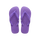 Dark Purple/Dark Purple