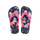 Navy Blue/Pink