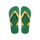 Green/Yellow