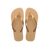 Havaianas Top Logo Metallic Golden Flip Flops Front View