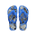 White/Blue