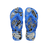 White/Blue