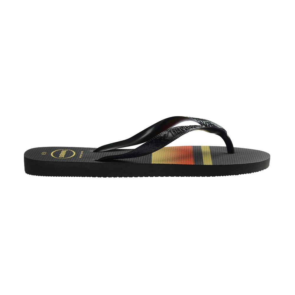 Havaianas Top Basic 經典條紋男款人字拖