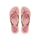 Pink/Gold