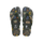GreenOlive
