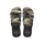 Black/Green Olive