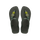 GreenOlive