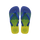 Marine Blue/Marine Blue