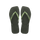 Green Olive