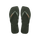 Green Olive