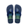 Indigo Blue