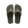 Green Olive