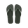 GreenOlive