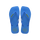 Brilliant Blue