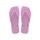 Fresh Lavender