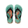 Virtual Green/Black