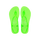 Lemon Green