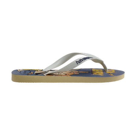 Havaianas Top Warner Classics 華納經典卡通人字拖