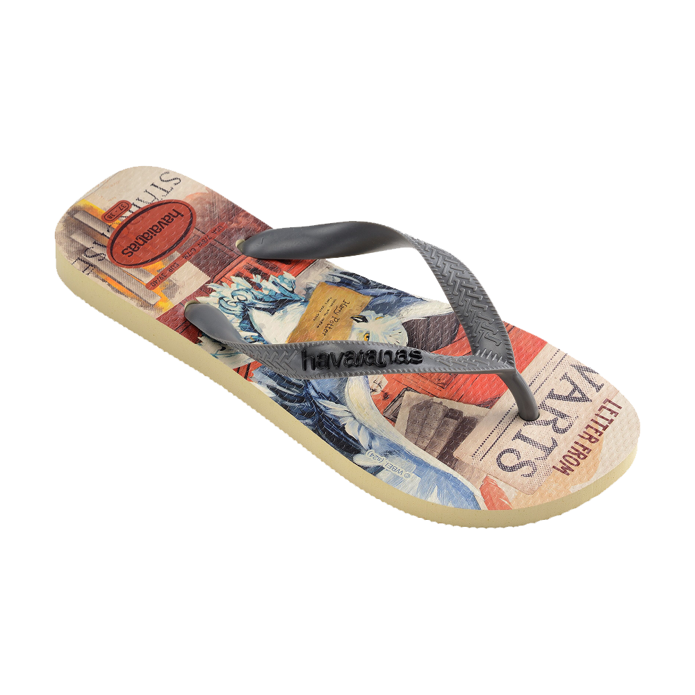 Havaianas Top Warner Classics 華納經典卡通人字拖