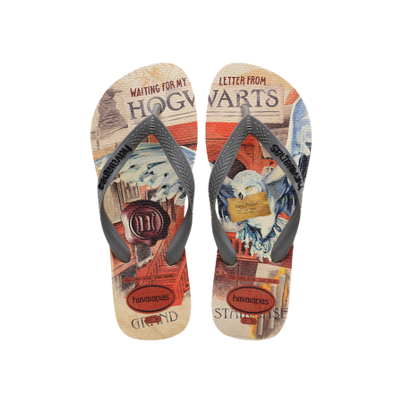 Havaianas Top Warner Classics 華納經典卡通人字拖