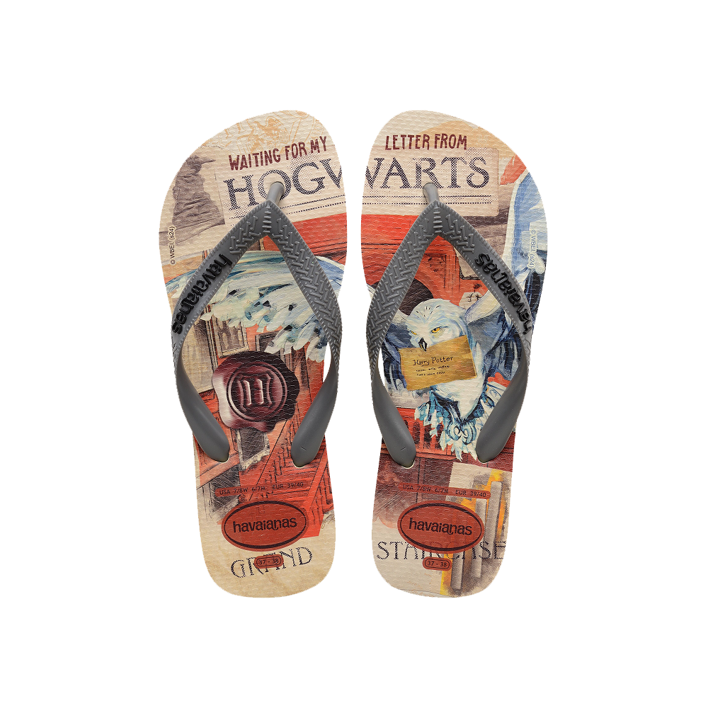 Havaianas Top Warner Classics 華納經典卡通人字拖