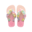 芭蕾玫瑰
