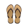 Dark Brown/Golden