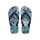 Blue/Navy Blue