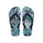 Blue/Navy Blue