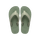 Green Olive