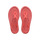 Tropical Coral