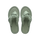 Smoke Green