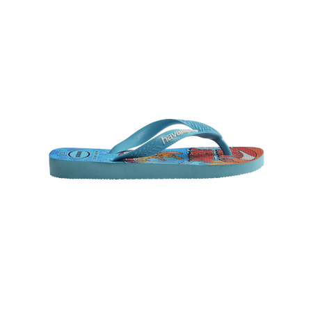 Havaianas Kids Top Warner Blue Flip Flops Detail View