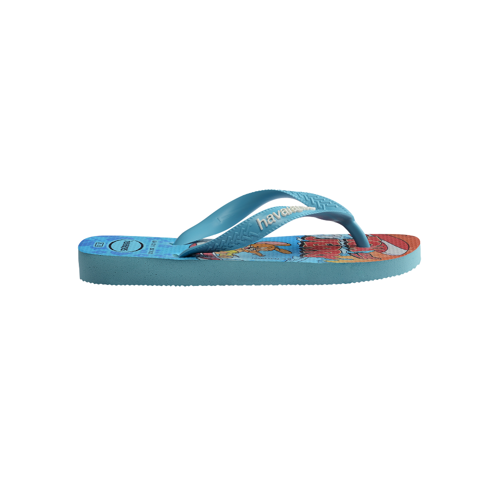 Havaianas Kids Top Warner Blue Flip Flops Detail View