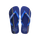 Brilliant Blue