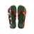 Green Olive